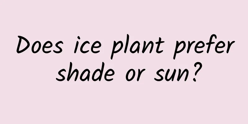 Does ice plant prefer shade or sun?