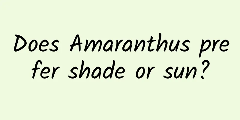 Does Amaranthus prefer shade or sun?