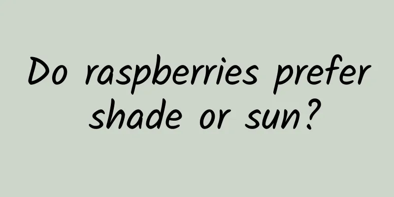 Do raspberries prefer shade or sun?