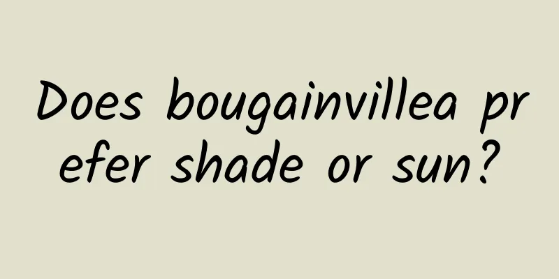 Does bougainvillea prefer shade or sun?