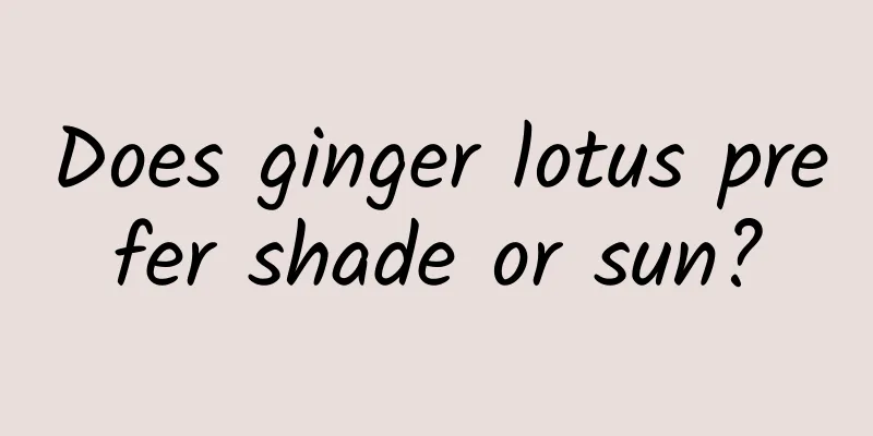 Does ginger lotus prefer shade or sun?