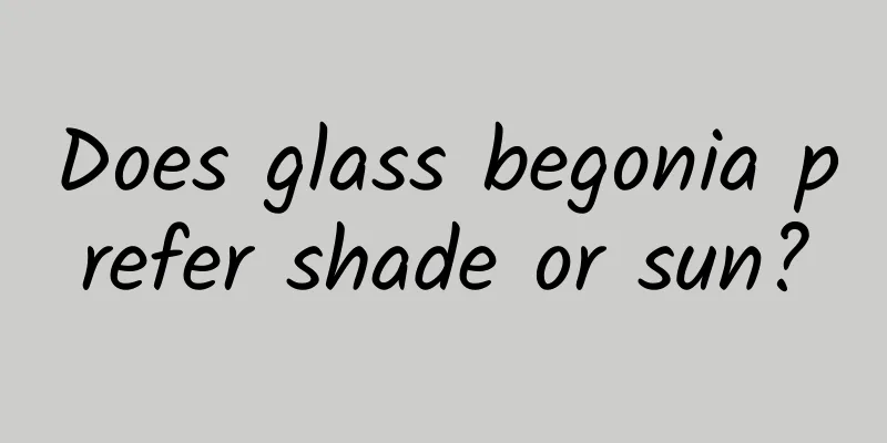 Does glass begonia prefer shade or sun?