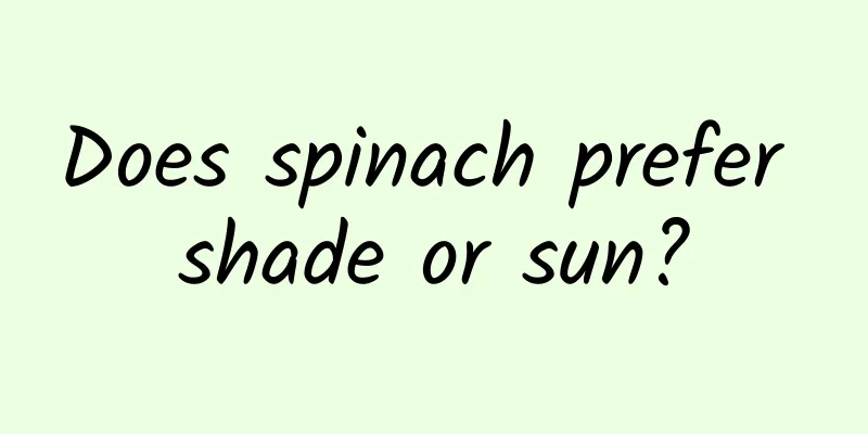 Does spinach prefer shade or sun?