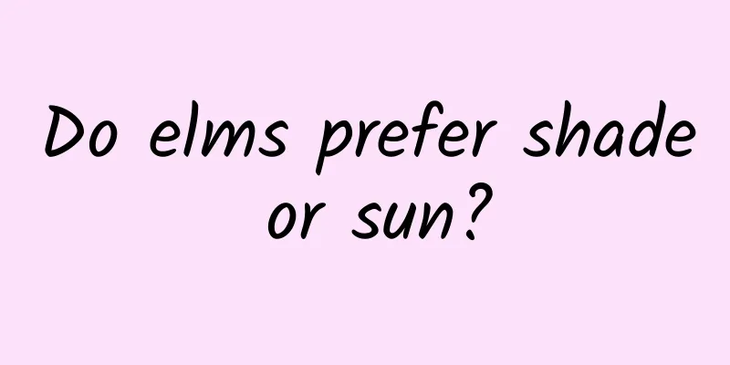 Do elms prefer shade or sun?