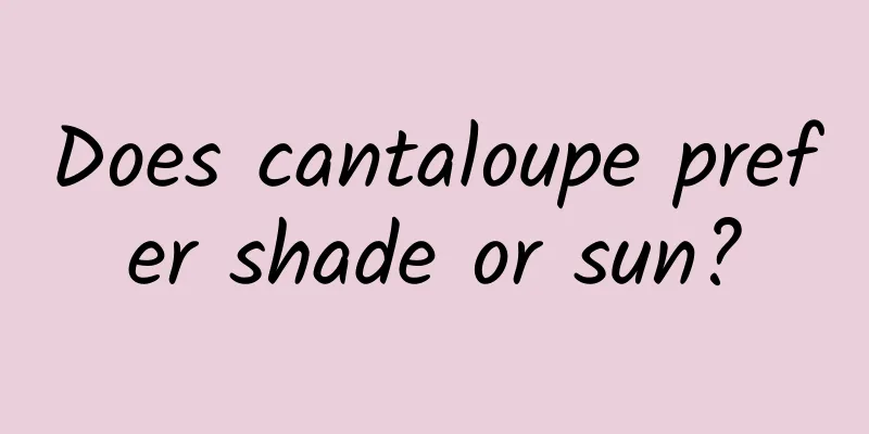Does cantaloupe prefer shade or sun?