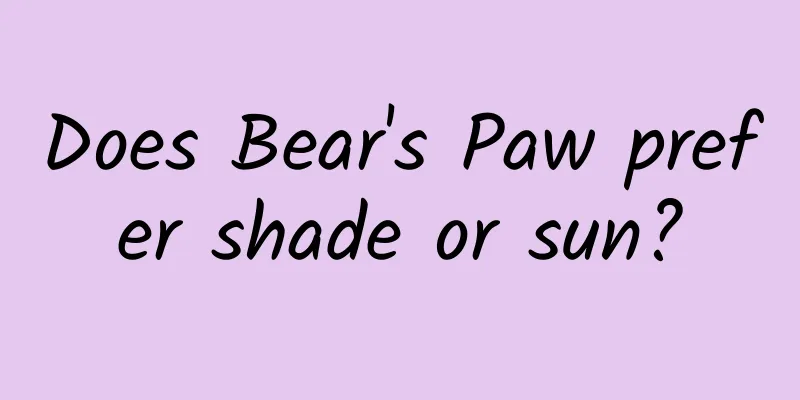 Does Bear's Paw prefer shade or sun?