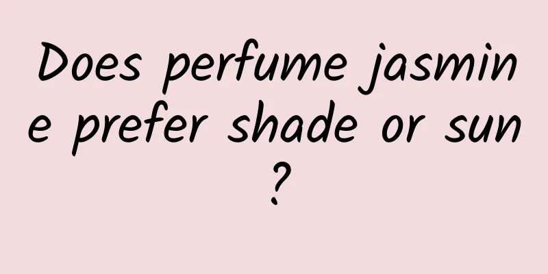 Does perfume jasmine prefer shade or sun?
