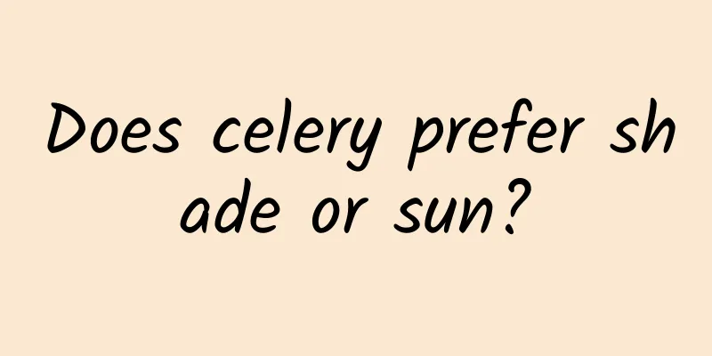 Does celery prefer shade or sun?