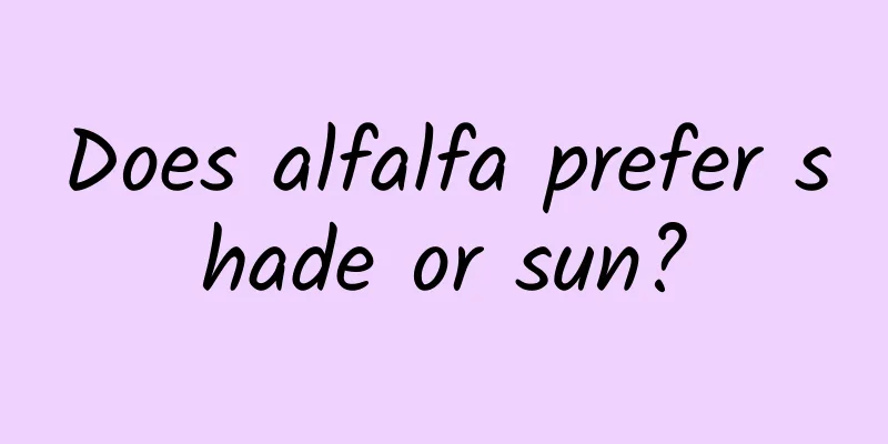 Does alfalfa prefer shade or sun?