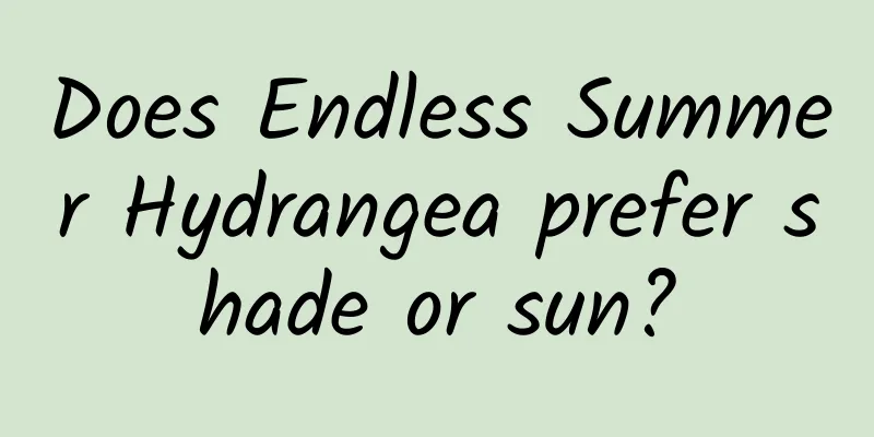 Does Endless Summer Hydrangea prefer shade or sun?