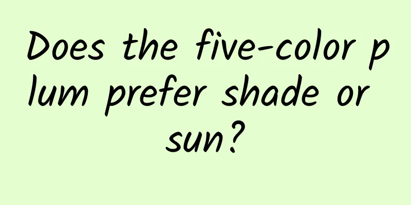 Does the five-color plum prefer shade or sun?