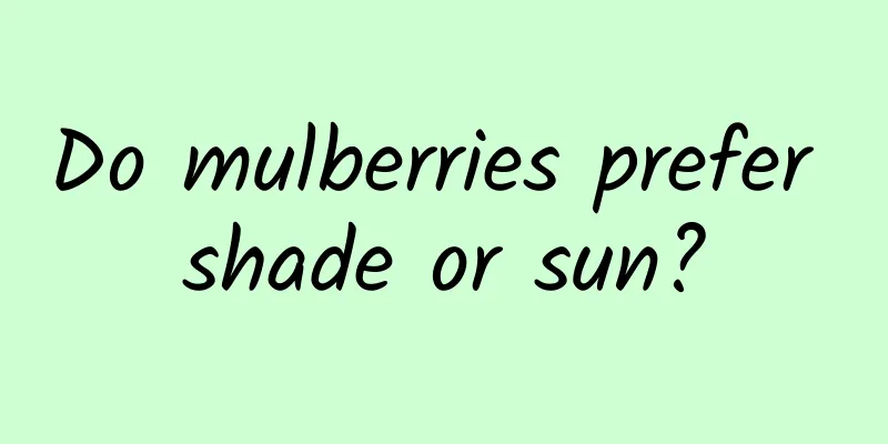 Do mulberries prefer shade or sun?