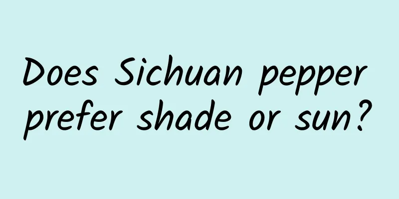 Does Sichuan pepper prefer shade or sun?