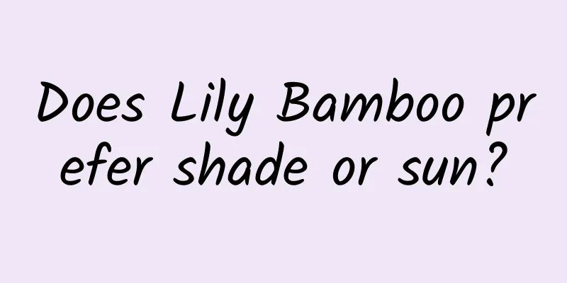 Does Lily Bamboo prefer shade or sun?