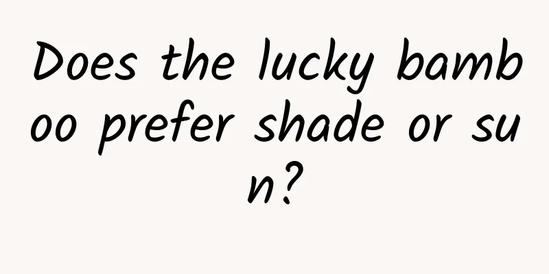 Does the lucky bamboo prefer shade or sun?