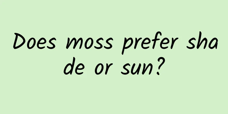 Does moss prefer shade or sun?