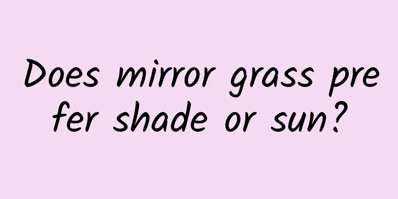 Does mirror grass prefer shade or sun?