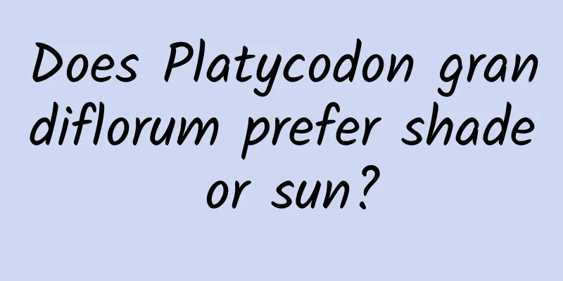 Does Platycodon grandiflorum prefer shade or sun?