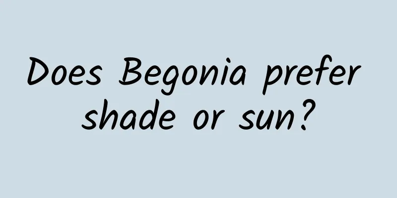 Does Begonia prefer shade or sun?