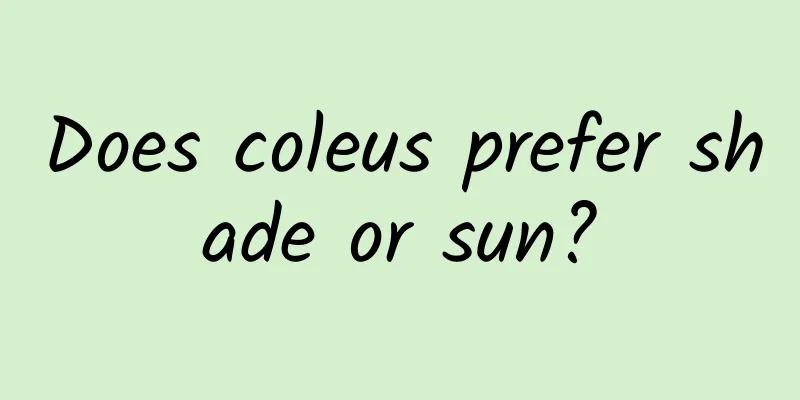 Does coleus prefer shade or sun?