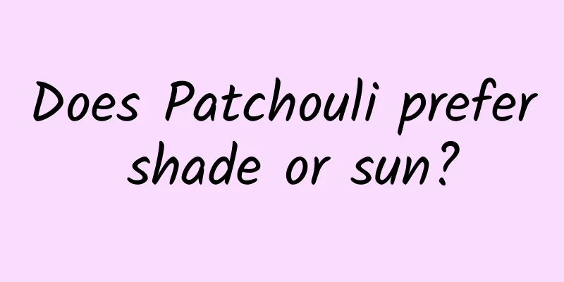 Does Patchouli prefer shade or sun?