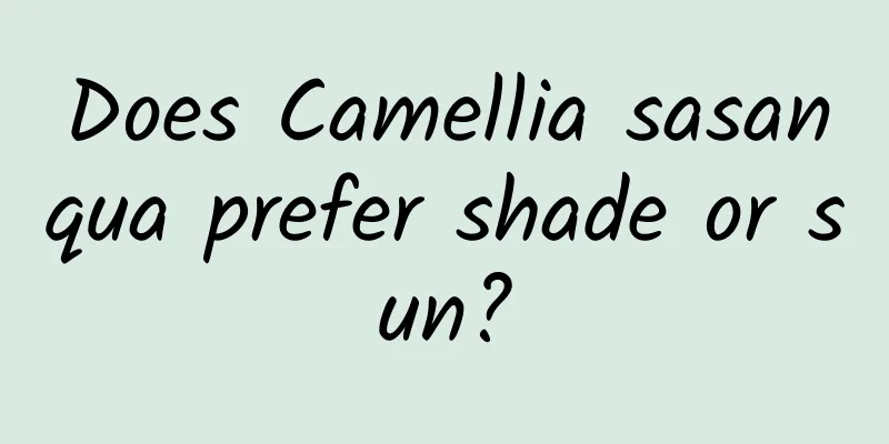 Does Camellia sasanqua prefer shade or sun?