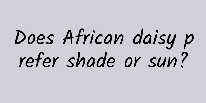 Does African daisy prefer shade or sun?