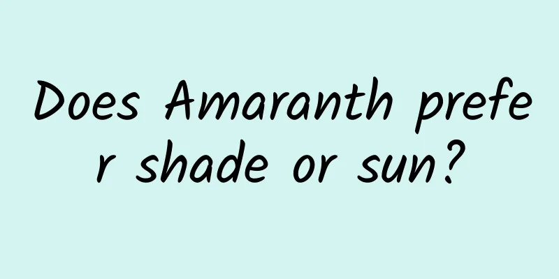 Does Amaranth prefer shade or sun?