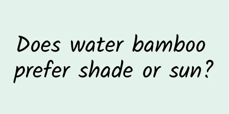 Does water bamboo prefer shade or sun?