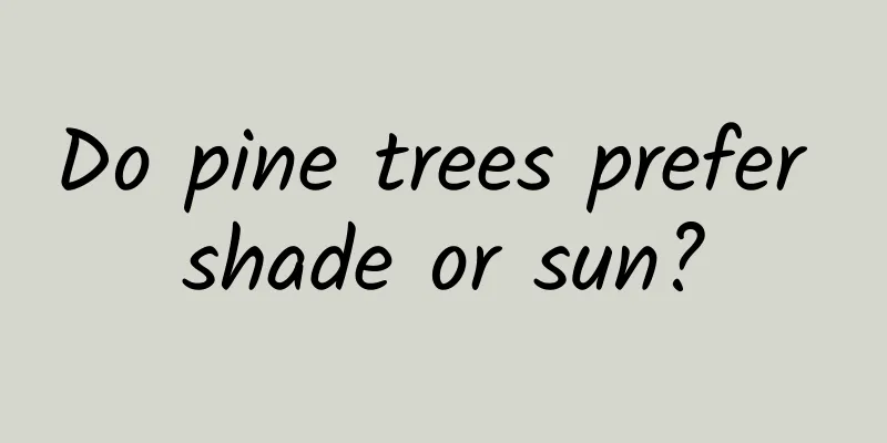 Do pine trees prefer shade or sun?