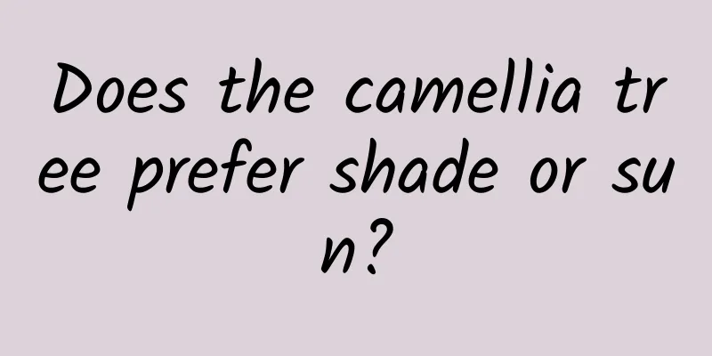 Does the camellia tree prefer shade or sun?
