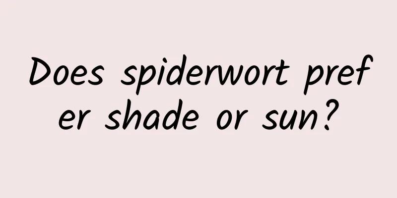 Does spiderwort prefer shade or sun?