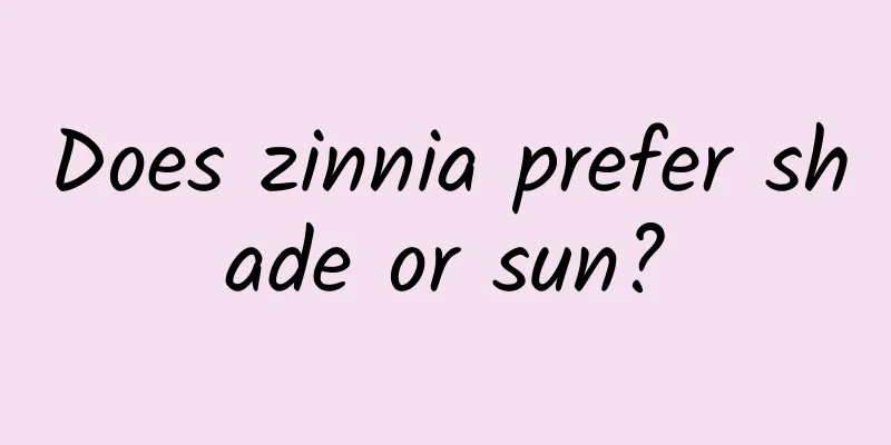 Does zinnia prefer shade or sun?