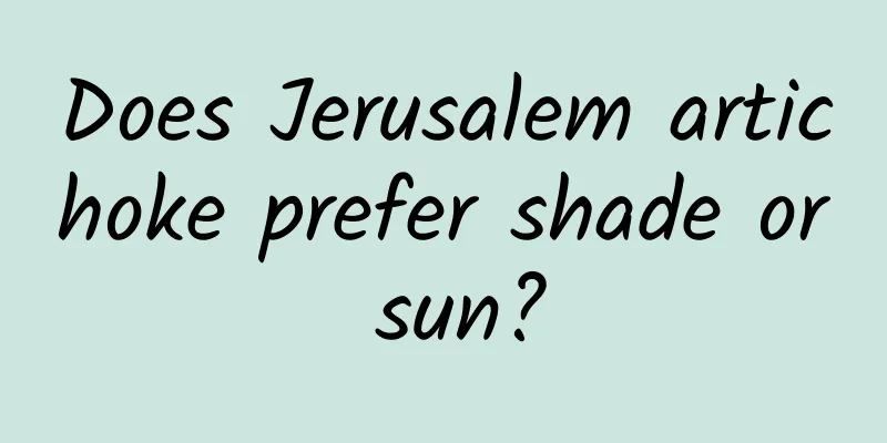 Does Jerusalem artichoke prefer shade or sun?