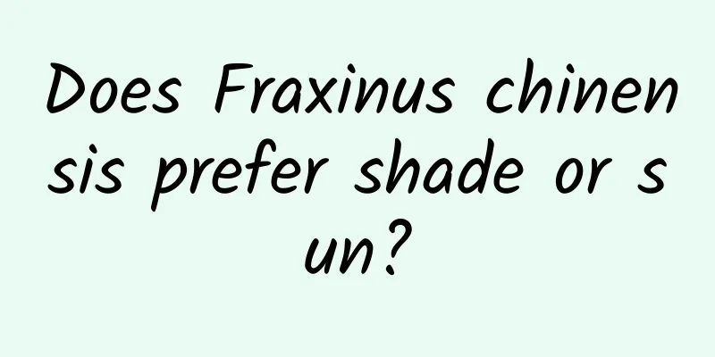 Does Fraxinus chinensis prefer shade or sun?