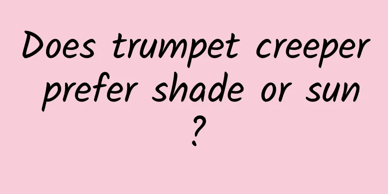 Does trumpet creeper prefer shade or sun?