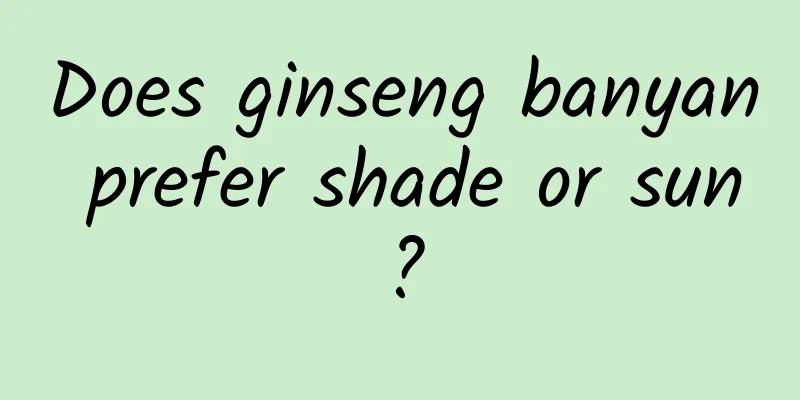 Does ginseng banyan prefer shade or sun?