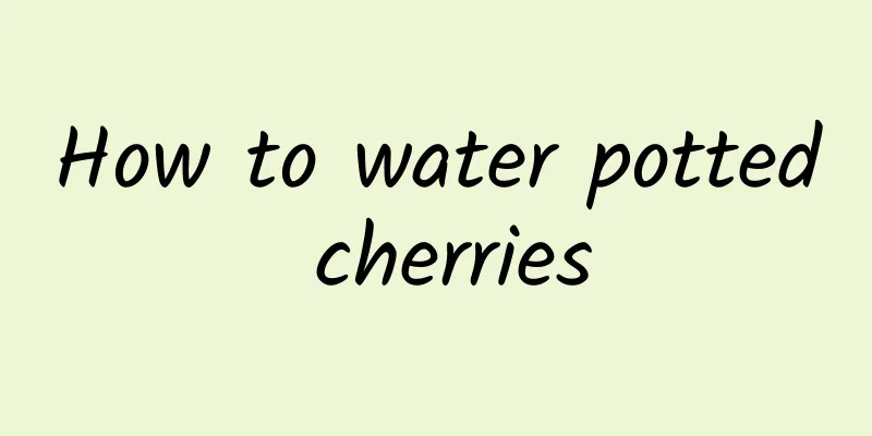 How to water potted cherries