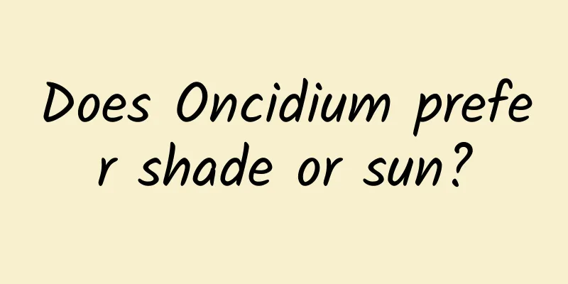 Does Oncidium prefer shade or sun?