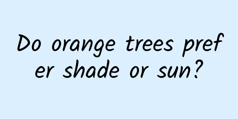 Do orange trees prefer shade or sun?