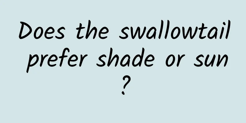 Does the swallowtail prefer shade or sun?