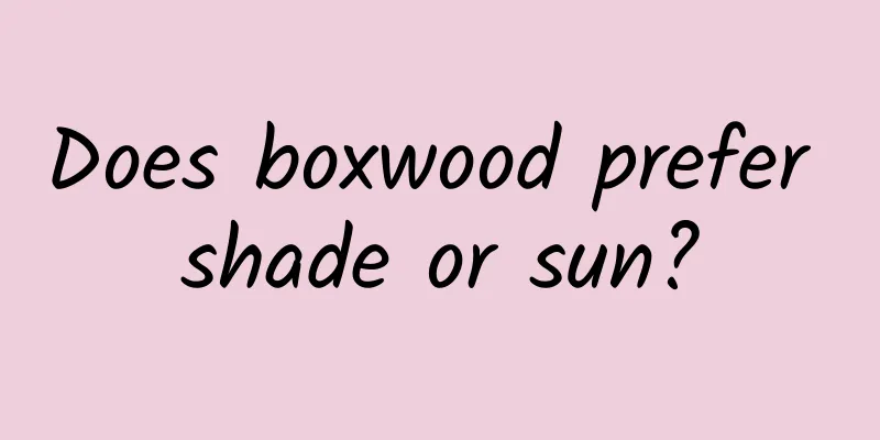 Does boxwood prefer shade or sun?