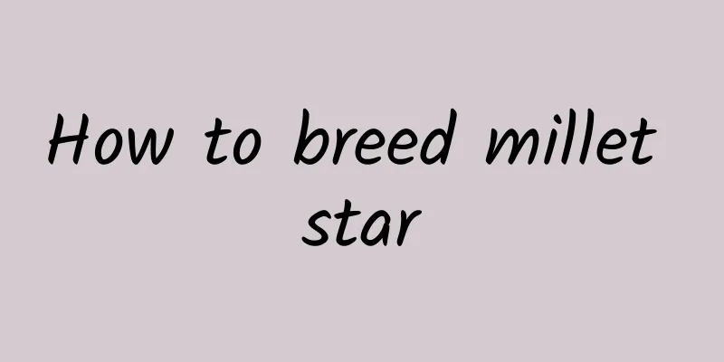 How to breed millet star