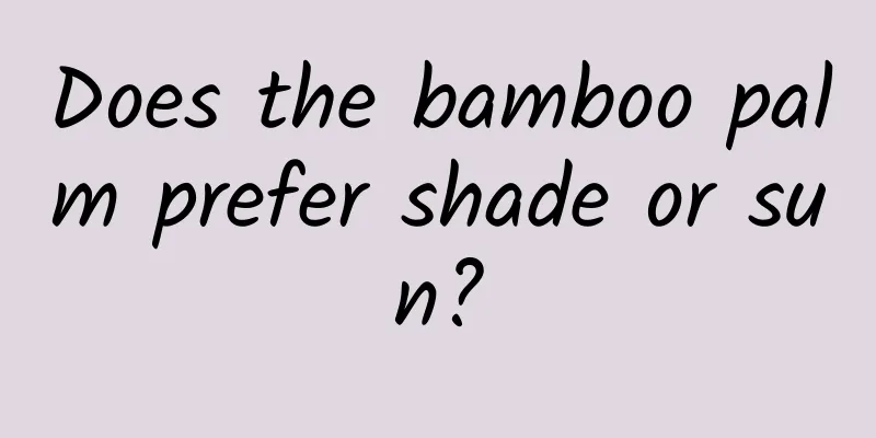 Does the bamboo palm prefer shade or sun?