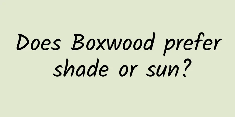 Does Boxwood prefer shade or sun?