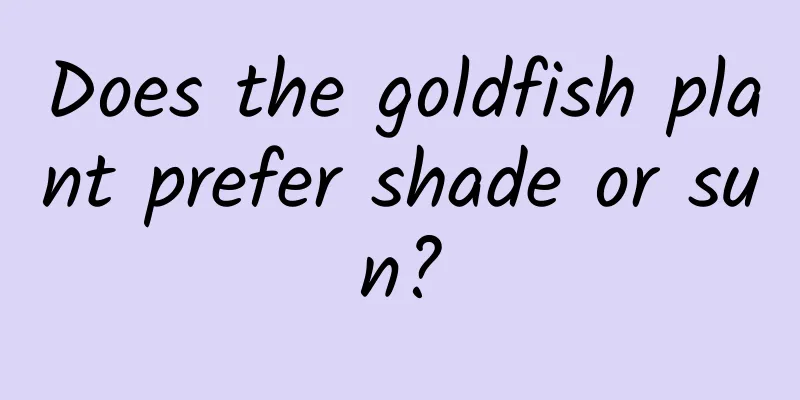 Does the goldfish plant prefer shade or sun?