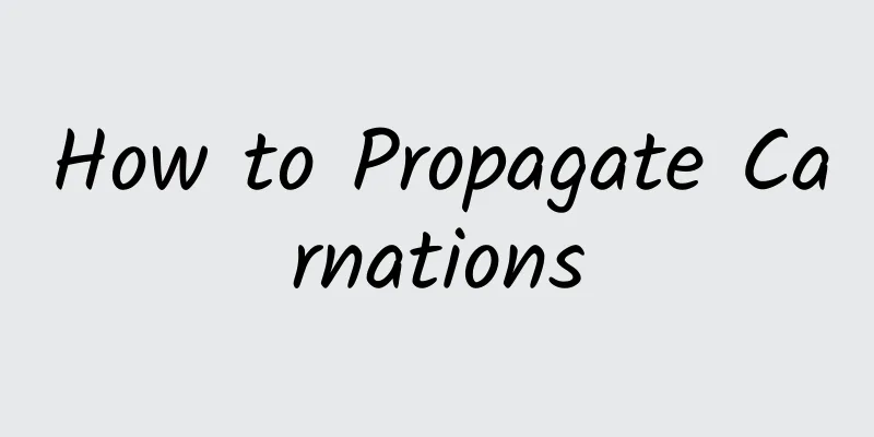 How to Propagate Carnations
