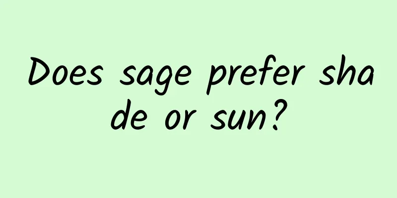 Does sage prefer shade or sun?