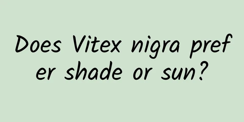 Does Vitex nigra prefer shade or sun?