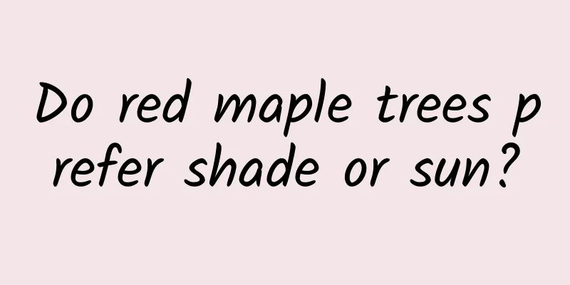 Do red maple trees prefer shade or sun?